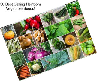 30 Best Selling Heirloom Vegetable Seeds!