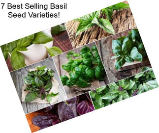 7 Best Selling Basil Seed Varieties!