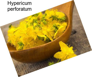 Hypericum perforatum