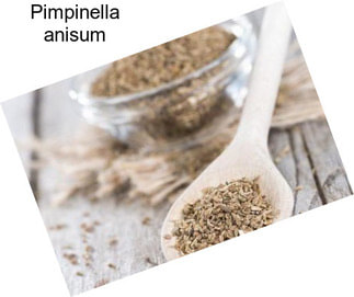 Pimpinella anisum