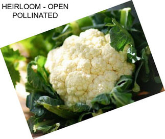 HEIRLOOM - OPEN POLLINATED