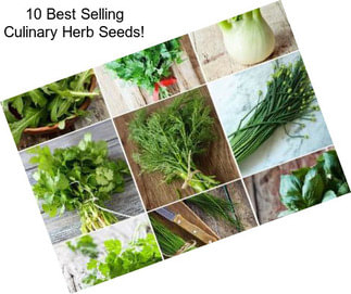 10 Best Selling Culinary Herb Seeds!