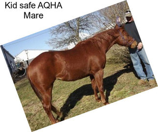 Kid safe AQHA Mare