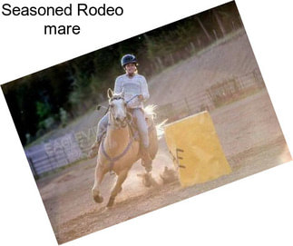 Seasoned Rodeo mare