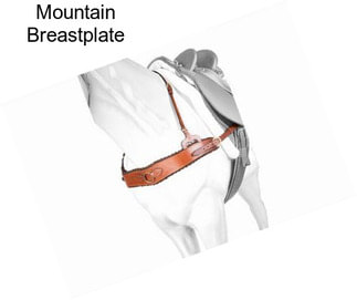 Mountain Breastplate