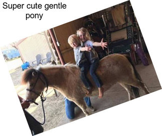 Super cute gentle pony