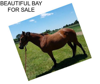 BEAUTIFUL BAY FOR SALE