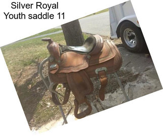 Silver Royal Youth saddle 11\