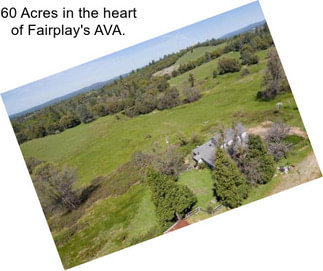 60 Acres in the heart of Fairplay\'s AVA.