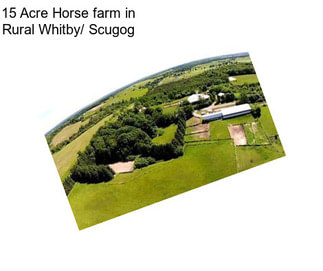 15 Acre Horse farm in Rural Whitby/ Scugog