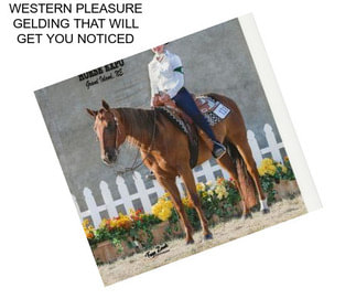 WESTERN PLEASURE GELDING THAT WILL GET YOU NOTICED