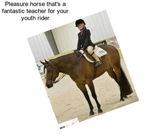 Pleasure horse that\'s a fantastic teacher for your youth rider