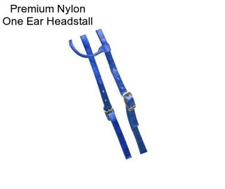 Premium Nylon One Ear Headstall