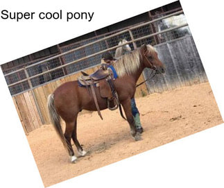 Super cool pony