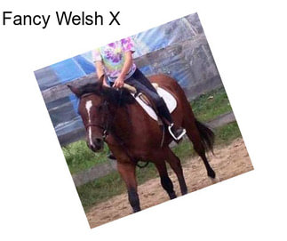 Fancy Welsh X