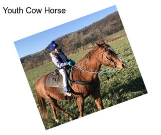 Youth Cow Horse