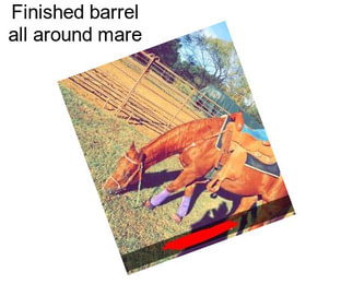 Finished barrel all around mare