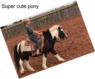 Super cute pony