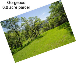 Gorgeous 6.8 acre parcel