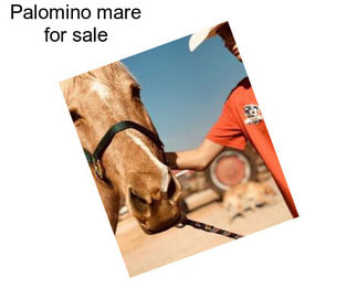 Palomino mare for sale