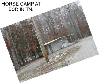 HORSE CAMP AT BSR IN TN.