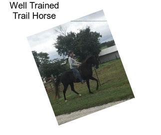 Well Trained Trail Horse