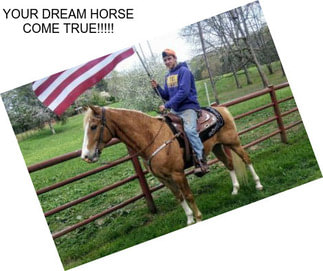 YOUR DREAM HORSE COME TRUE!!!!!