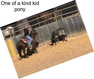 One of a kind kid pony