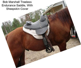 Bob Marshall Treeless Endurance Saddle, With Sheepskin Cover