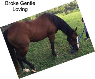 Broke Gentle Loving