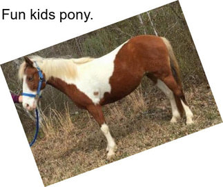 Fun kids pony.