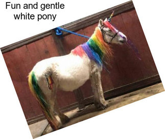 Fun and gentle white pony