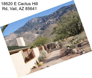 18620 E Cactus Hill Rd, Vail, AZ 85641