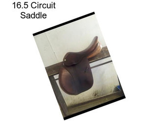 16.5 Circuit Saddle