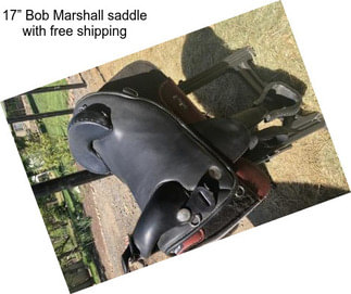 17” Bob Marshall saddle with free shipping