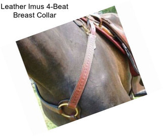 Leather Imus 4-Beat Breast Collar