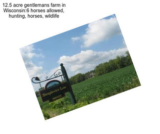 12.5 acre gentlemans farm in Wisconsin:6 horses allowed, hunting, horses, wildlife