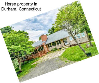 Horse property in Durham, Connecticut