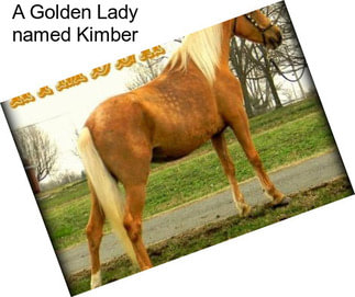 A Golden Lady named Kimber