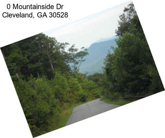 0 Mountainside Dr Cleveland, GA 30528
