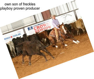 Own son of freckles playboy proven producer