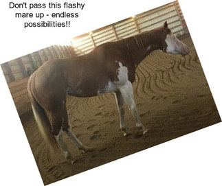 Don\'t pass this flashy mare up - endless possibilities!!