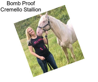 Bomb Proof Cremello Stallion