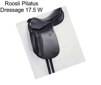 Roosli Pilatus Dressage 17.5 W