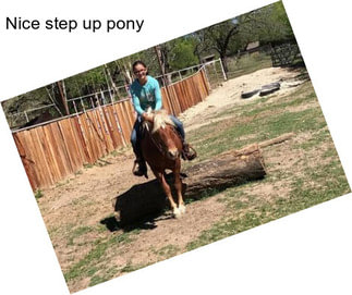 Nice step up pony