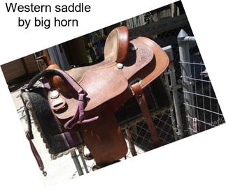 Western saddle by big horn
