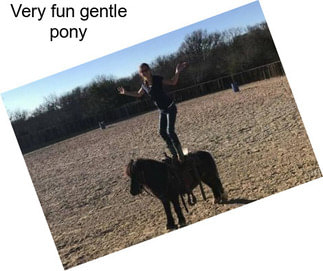 Very fun gentle pony