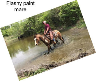 Flashy paint mare