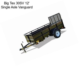 Big Tex 30SV 12\' Single Axle Vanguard