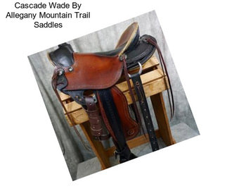 Cascade Wade By Allegany Mountain Trail Saddles